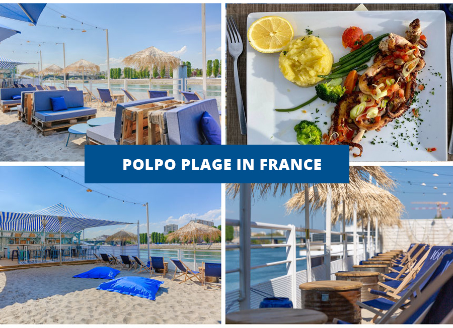 Polpo-Plage-in-France