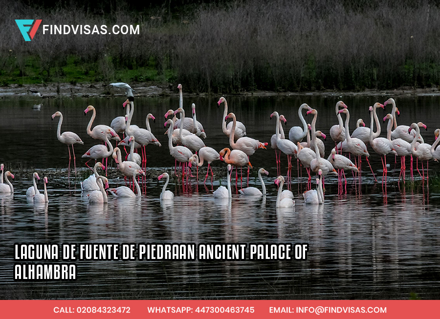 Laguna de Fuente de Piedra